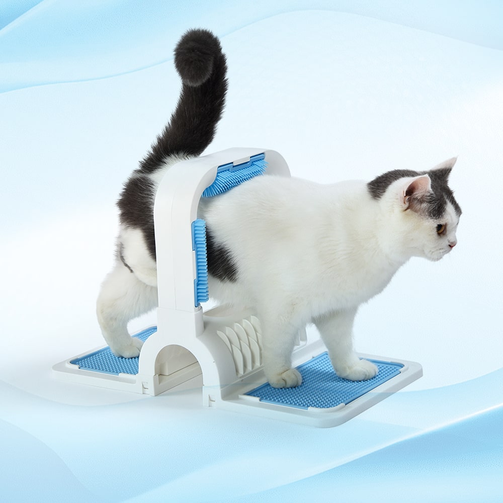 Giochi Gatto - IMAC