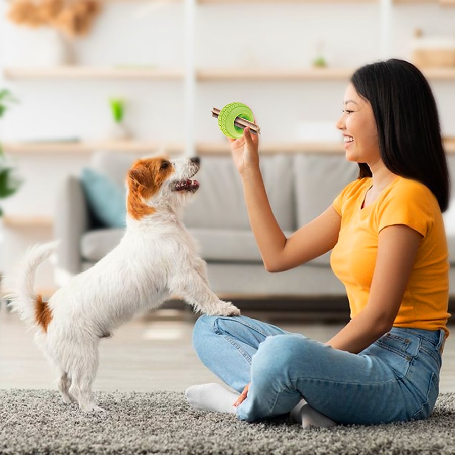 Giochi-cane - IMAC