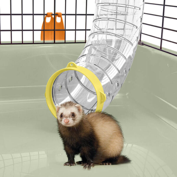 Ferret Flat - immagine 3